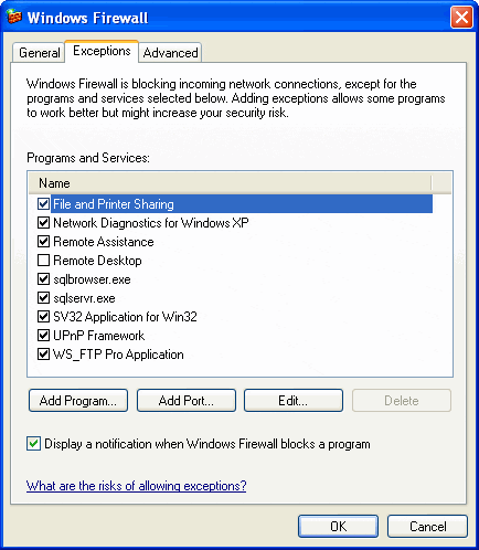 RAS_Windows_Firewall_Exceptions_tab